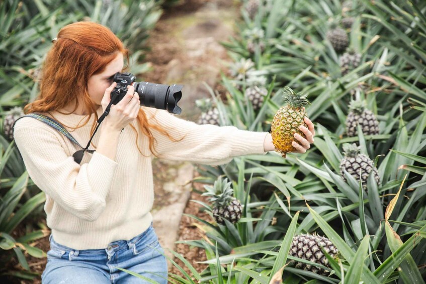 Picture 1 for Activity Ponta Delgada: Pineapple wine tasting and pineapple tour