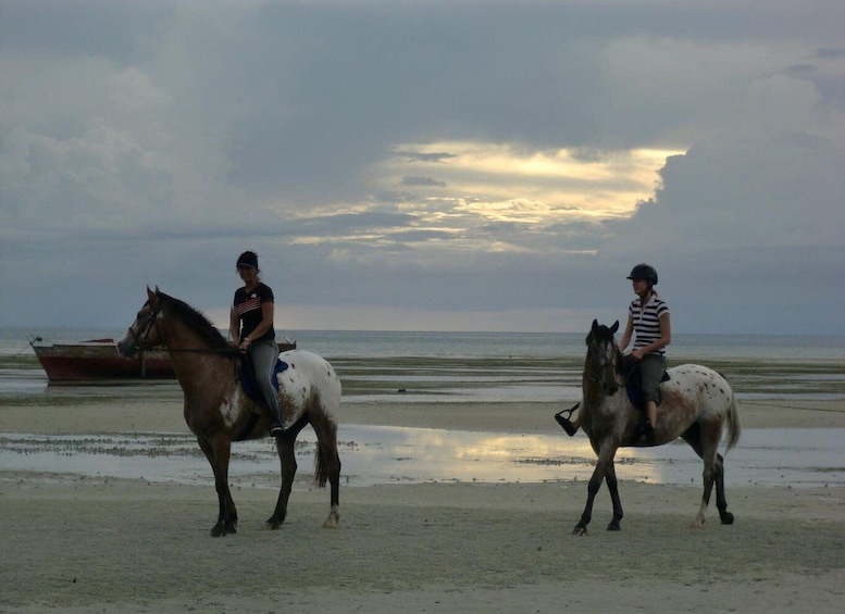 Picture 6 for Activity Zanzibar Spice Tour, Horseback Riding Tour