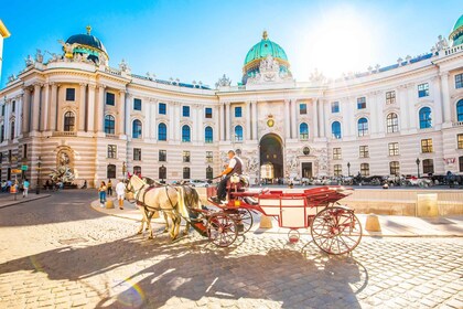 Vienna: tour "Skip-the-Line" del Museo di Sisi, Hofburg e Giardini