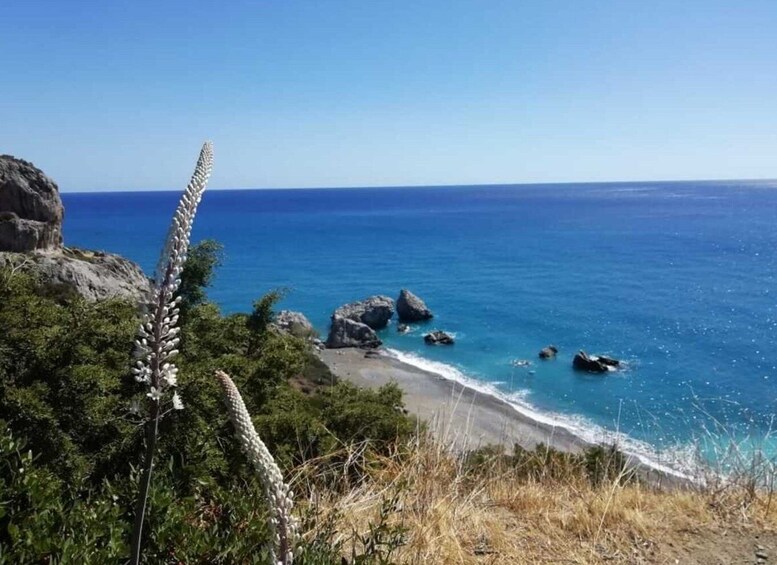 Picture 12 for Activity From Heraklion: Guided Jeep Safari with Winery Visit & Lunch