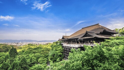 Kyoto: Private Customised Walking Tour with a Local