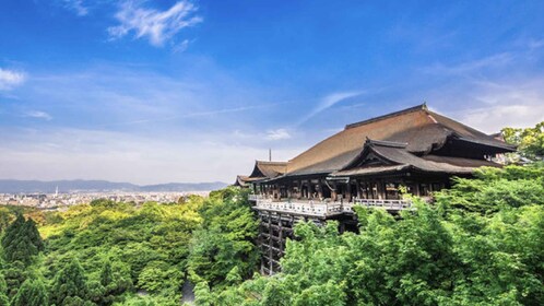 Kyoto: Private Customised Walking Tour with a Local