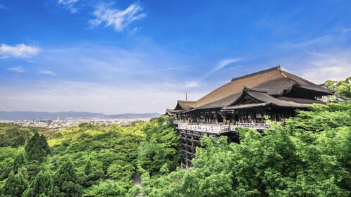 Kyoto: Fully-Customized One-day Private Tour