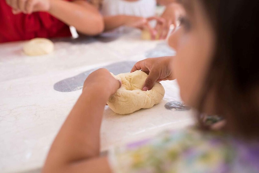 Picture 3 for Activity Partinico: Pizza-Making Class on an Organic Farm with Wine