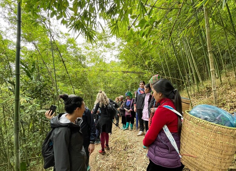 Picture 20 for Activity Sapa: Private The Most Beautiful Terraced Fields Trekking