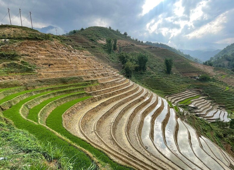 Picture 32 for Activity Sapa: Private The Most Beautiful Terraced Fields Trekking