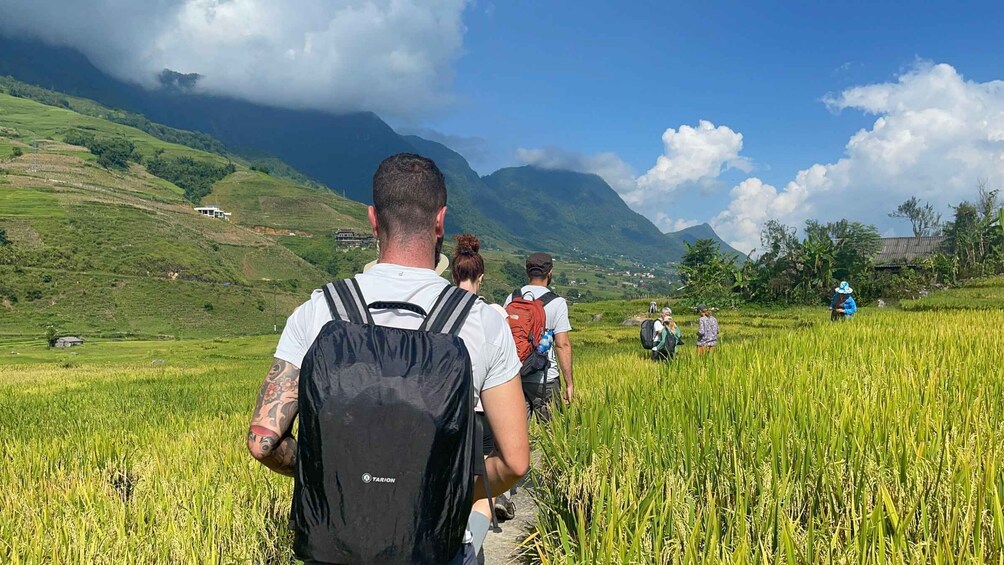 Picture 7 for Activity Sapa: Private The Most Beautiful Terraced Fields Trekking