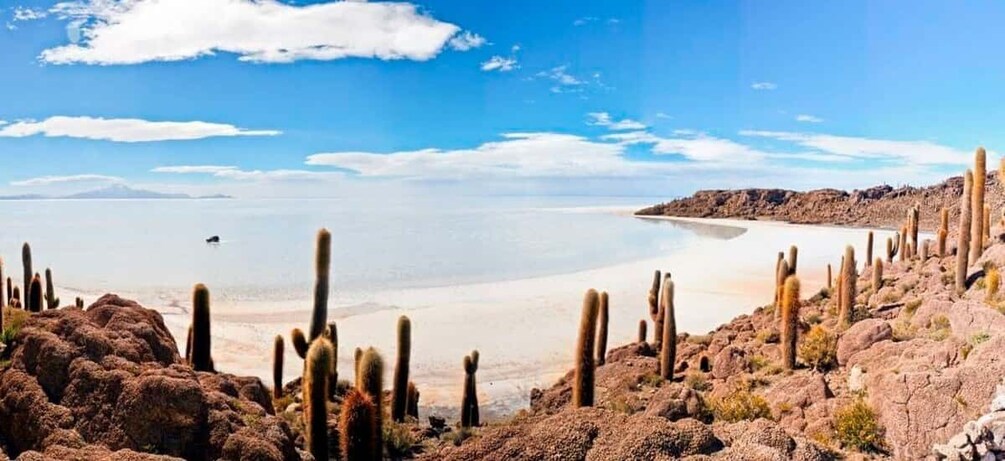 Picture 3 for Activity Amazing Salar Uyuni 3 Days / 2 Nights.