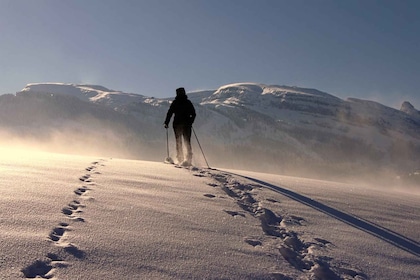 Private snowshoeing full day