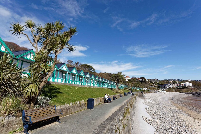 Picture 7 for Activity From Cardiff: Swansea, Mumbles and Gower Coast Full-Day Tour