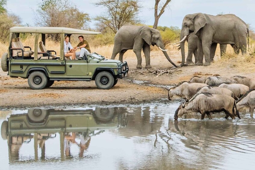 48 Hours of Safari in Tarangire and Lake Manyara