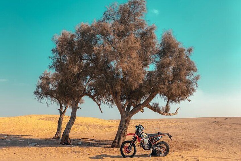 Small-Group Enduro Dirt Bike Guided Tour in Kuwait