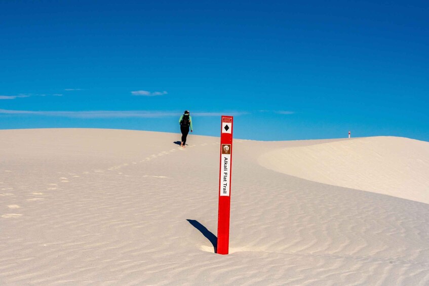 Picture 12 for Activity White Sands National Park: Audio Tour Guide