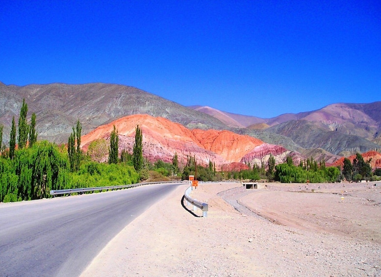Picture 10 for Activity From Salta: 3-Day Cafayate, Cachi, and Humahuaca Guided Trip