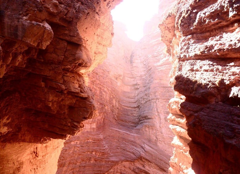 Picture 6 for Activity From Salta: 3-Day Cafayate, Cachi, and Humahuaca Guided Trip