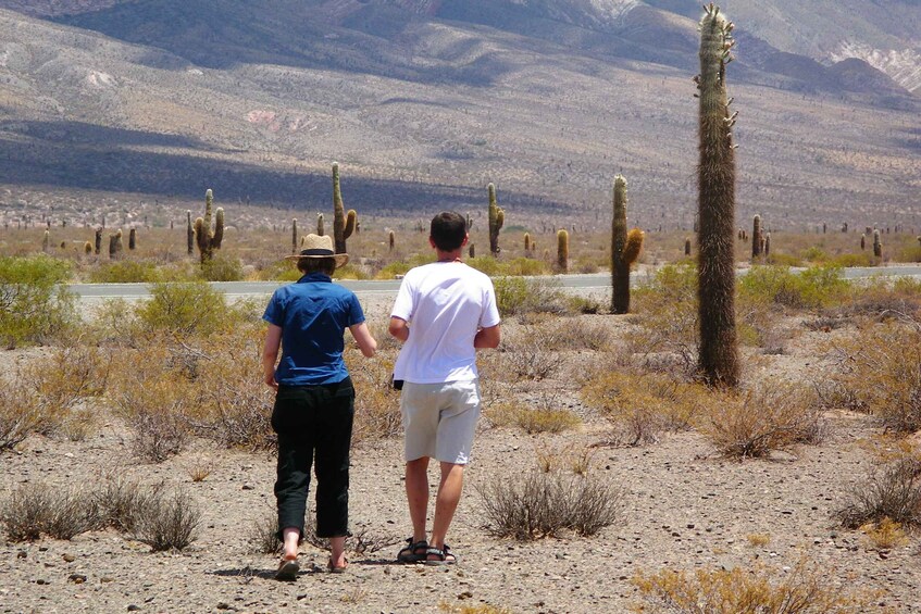 Picture 5 for Activity From Salta: 3-Day Cafayate, Cachi, and Humahuaca Guided Trip