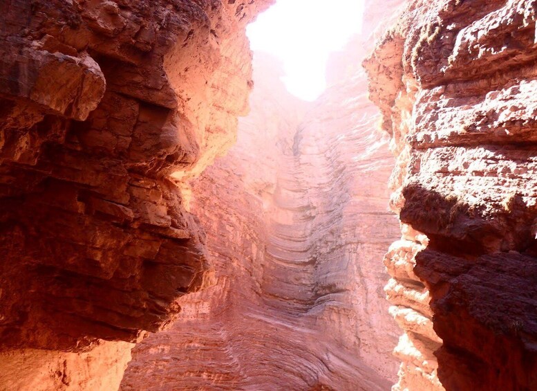 Picture 6 for Activity From Salta: 3-Day Cafayate, Cachi, and Humahuaca Guided Trip