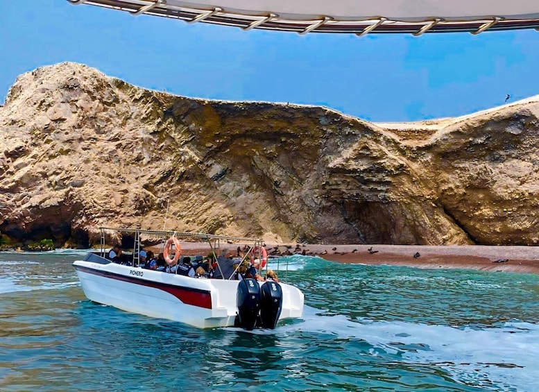 Picture 22 for Activity From Paracas: Ballestas Islands Guided Boat Tour