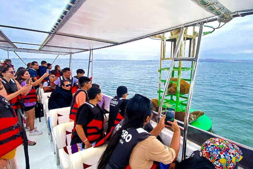 Picture 4 for Activity From Paracas: Ballestas Islands Guided Boat Tour