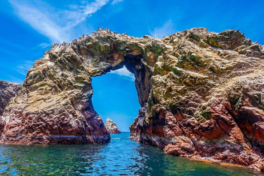 Picture 13 for Activity From Paracas: Ballestas Islands Guided Boat Tour