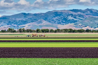 Visite de la ferme de la vallée de Salinas du comté de Monterey