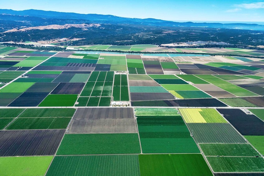 Picture 4 for Activity Monterey County Salinas Valley Farm Tour