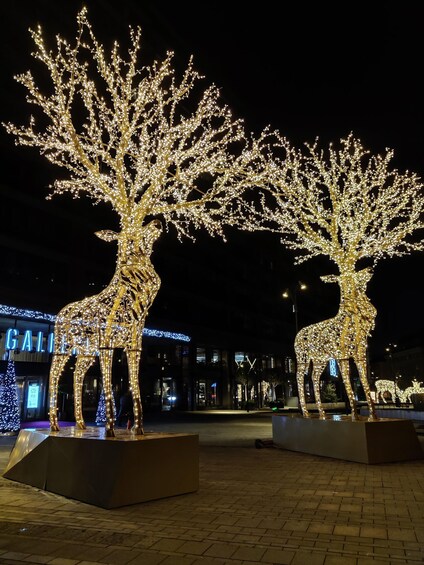 Picture 3 for Activity Stockholm: Christmas Lights and Market Walking Tour