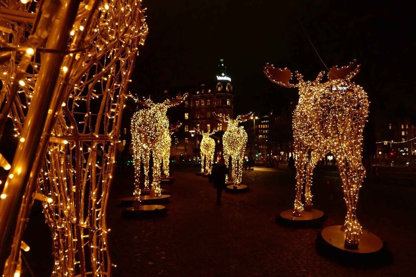 Picture 6 for Activity Stockholm: Christmas Lights and Market Walking Tour