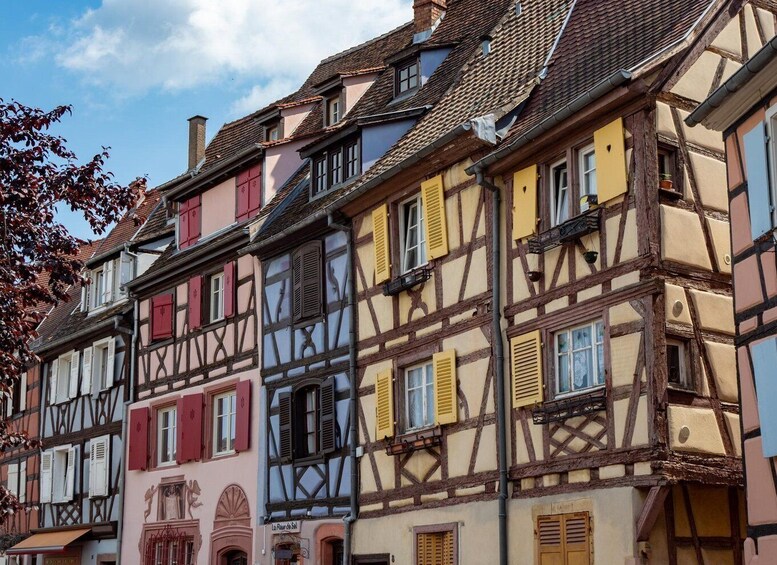 Picture 2 for Activity Colmar: Private Architecture Tour with a Local Expert