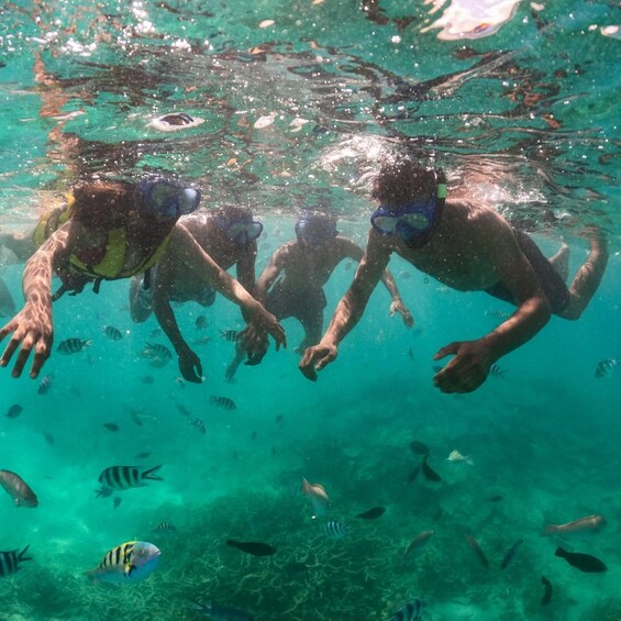 Picture 18 for Activity Blue Bay: Blue Bay Glass Bottom Boat Visit and Snorkeling