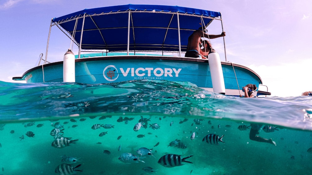 Picture 6 for Activity Blue Bay: Blue Bay Glass Bottom Boat Visit and Snorkeling