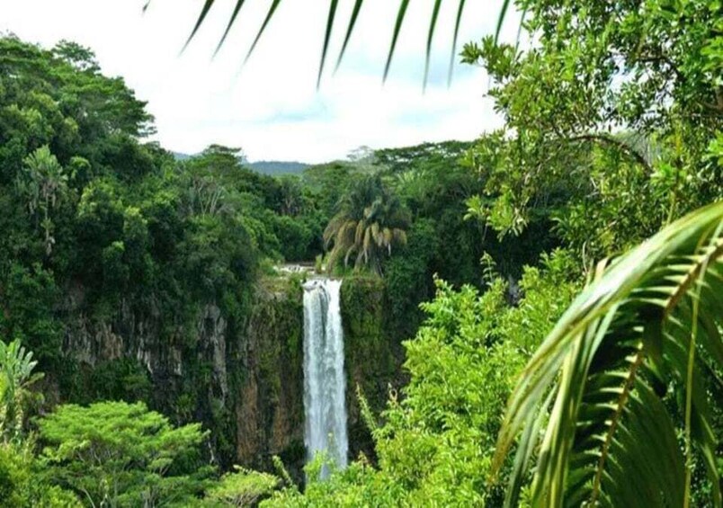 Picture 5 for Activity Mauritius: Dolphin Encounter Boat Tour and 7 Colored Earths