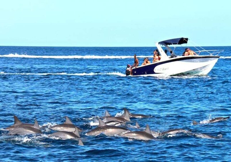 Picture 1 for Activity Mauritius: Dolphin Encounter Boat Tour and 7 Colored Earths