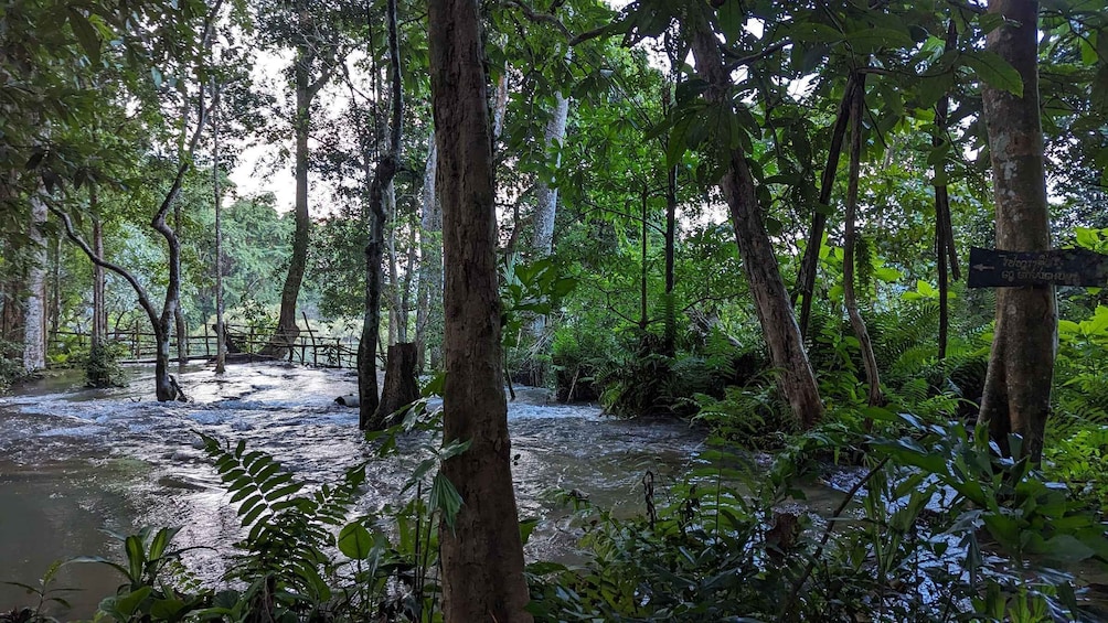 Picture 1 for Activity Full Day Trek to Kuang Si Waterfalls, Remote Village