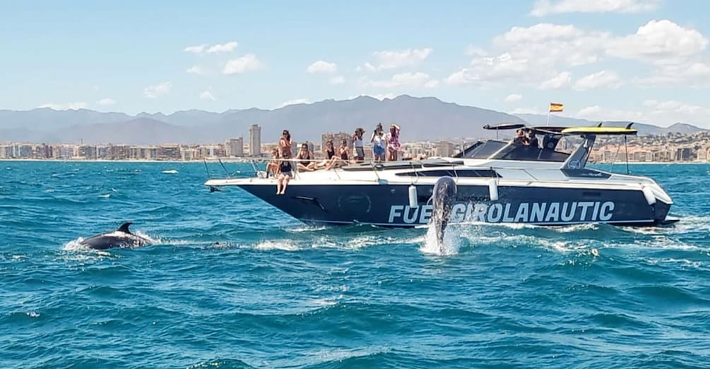 Fuengirola: Dolphin Watching by Yacht with Snacks and Drinks