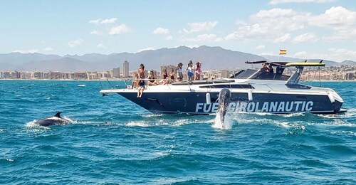 Fuengirola: Dolphin Watching by Yacht with Snacks and Drinks