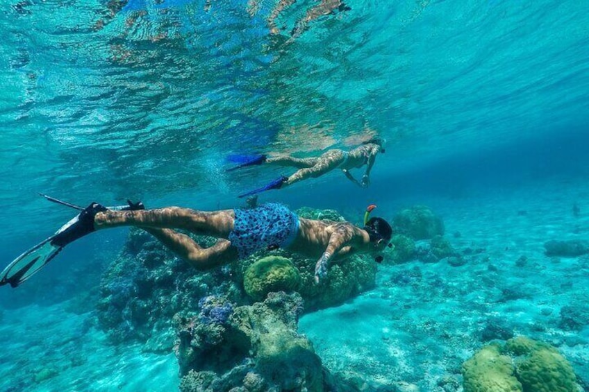 Bora Bora luxury half day private snorkeling lagoon tour
