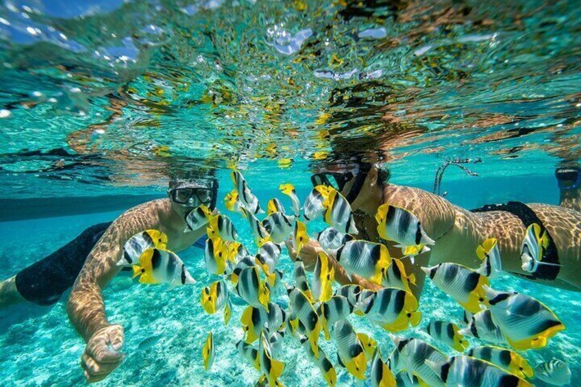 Bora Bora luxury full day private lagoon tour and lunch aboard