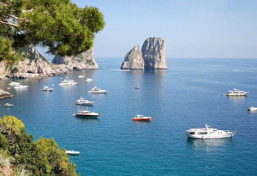 Picture 1 for Activity Capri: Private Boat Island Tour