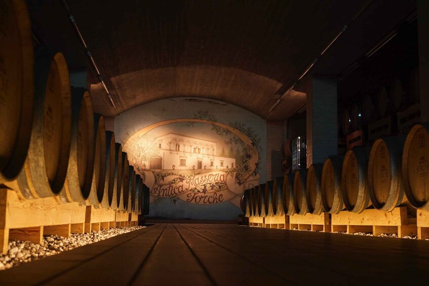 Wine Tour "Discovery Jarche"