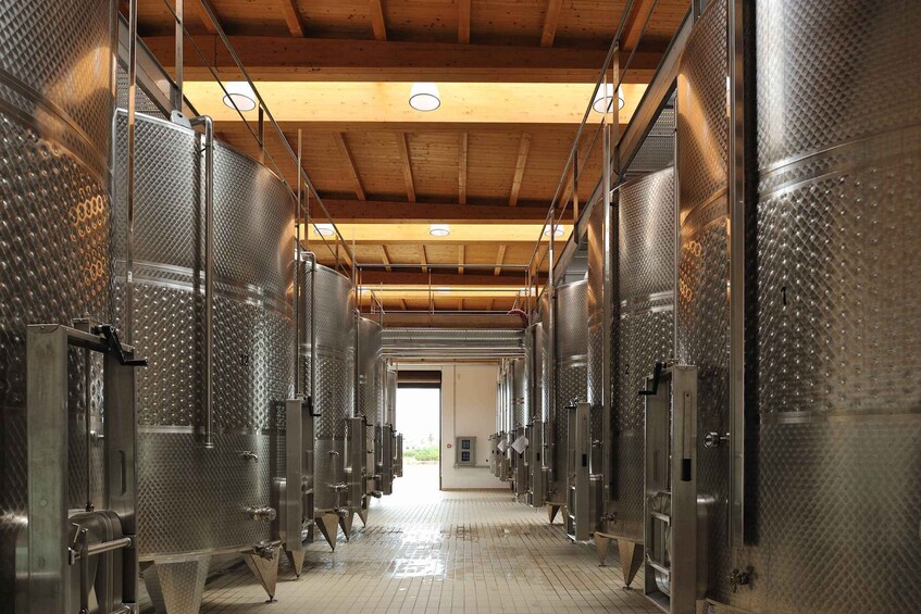 Picture 4 for Activity Wine Tour "Discovery Jarche"