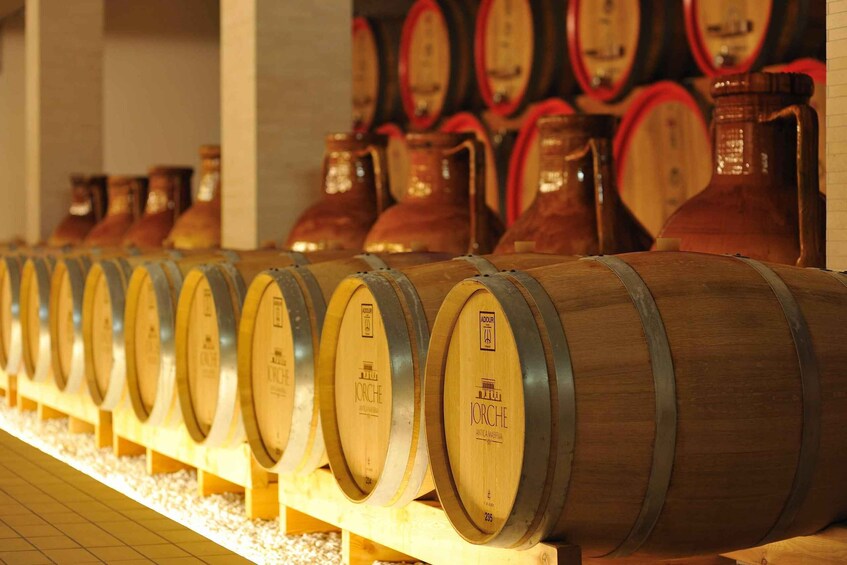 Picture 1 for Activity Wine Tour "Discovery Jarche"