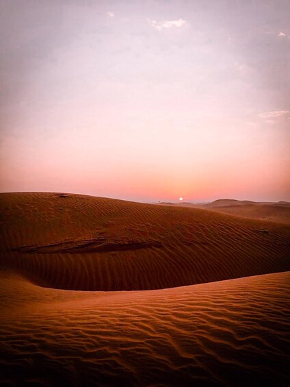 Picture 3 for Activity Sunrise Desert Safari - Abu Dhabi