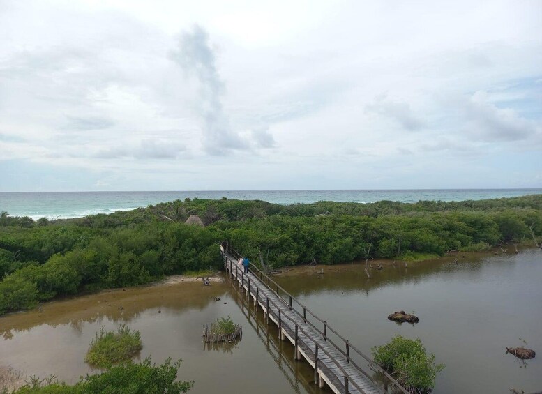 Picture 7 for Activity Punta Sur Eco-Park Adventure