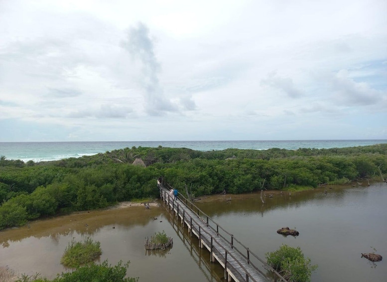 Picture 7 for Activity Punta Sur Eco-Park Adventure