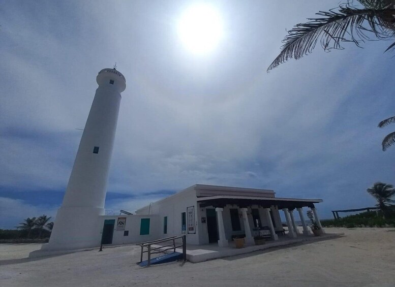 Picture 3 for Activity Punta Sur Eco-Park Adventure