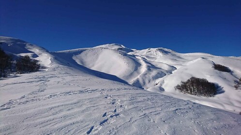 Ascent to Quetrupillán volcano 2370masl, from Pucón