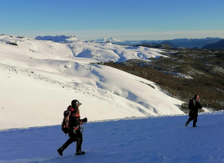 Picture 3 for Activity Ascent to Quetrupillán volcano 2370masl, from Pucón