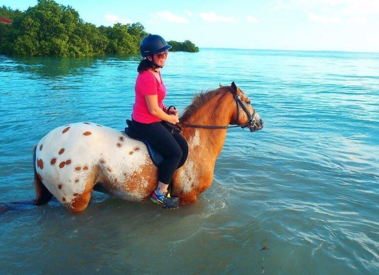 Picture 5 for Activity Horseback Riding Tour, Lunch at The Rock Restaurant