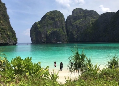 From Phi Phi: Full day Phi Phi Island tour by speed boat.
